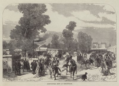 Agricultural Show at Cheltenham by Sir John Charles Robinson